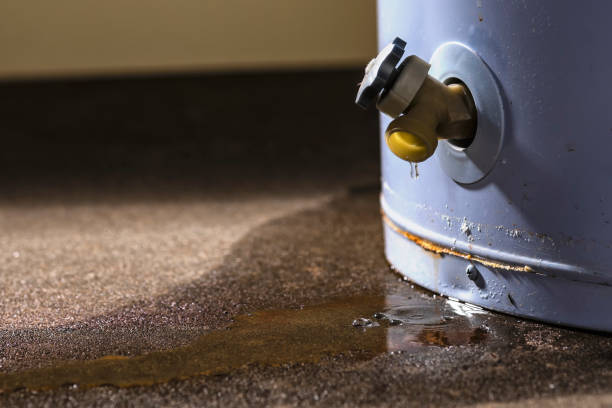 Best Water damage repair service  in Chula Vista, CA