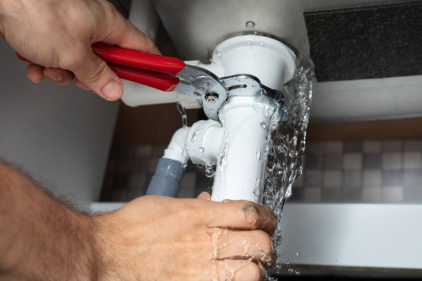 Best Flood damage cleanup  in Chula Vista, CA