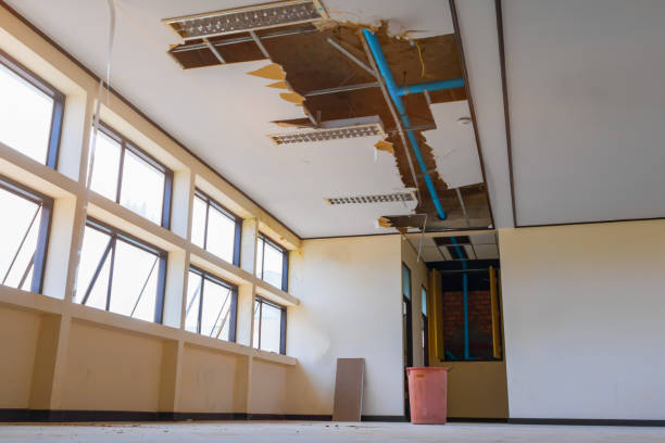 Best Local water damage restoration  in Chula Vista, CA