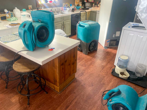Best Fire Damage Restoration  in Chula Vista, CA