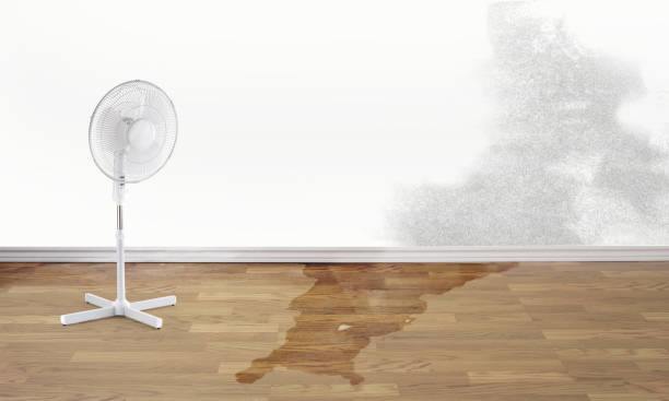 Best Ceiling water damage repair  in Chula Vista, CA